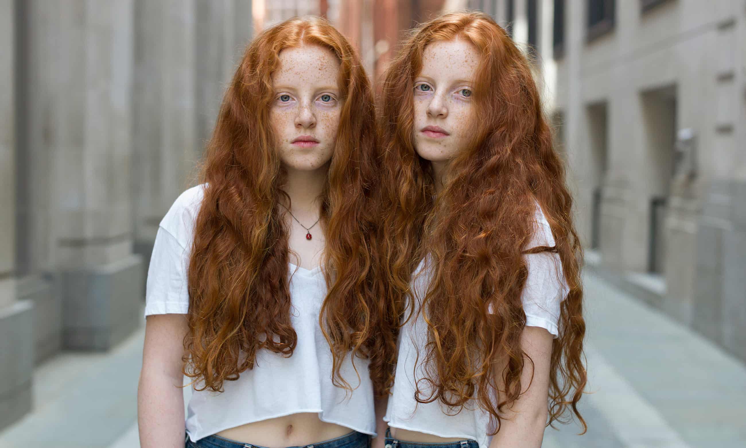 review Blueprint của Robert Plomin