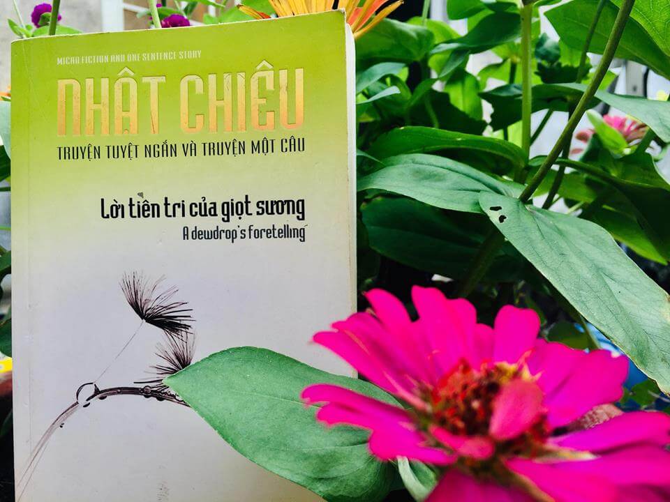 lời tiên tri của giọt sương